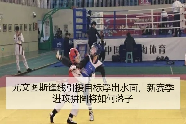 尤文图斯锋线引援目标浮出水面，新赛季进攻拼图将如何落子 - kaiyun